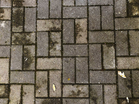 Paving slabs and autumn leaves. Background, texture.