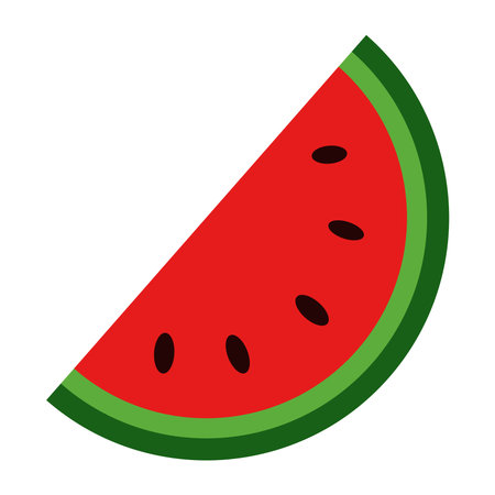 Watermelon vector. Watermelon in red color on a white background.のイラスト素材
