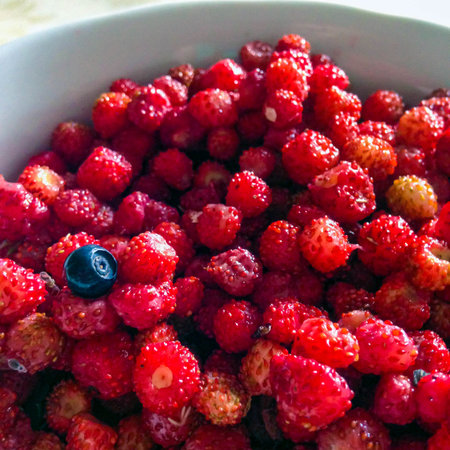 Wild strawberries and blueberries in a plate.