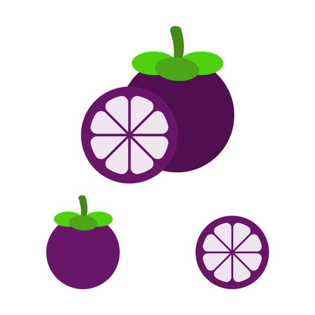 Mangosteen vector. Mangosteen whole and cut on a white background.のイラスト素材