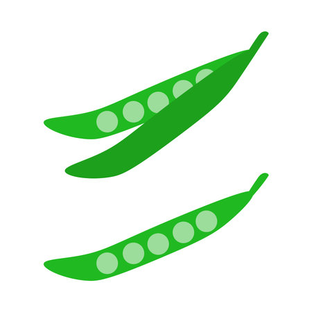 Peas, vector. Greenpeas. Can be used as an icon, logo.のイラスト素材