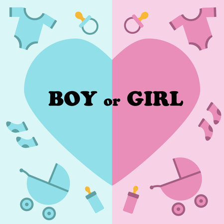 Boy or girl vector. gender party. Heart with the inscription Boy or girl, things for children. blue and pink colors.のイラスト素材