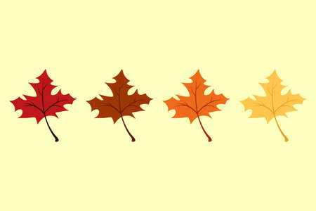 Fall color leaves composition with concept Vectorのイラスト素材