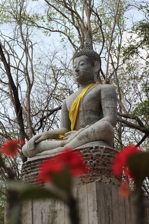 Statue of Buddha in the surrounding tree.の写真素材
