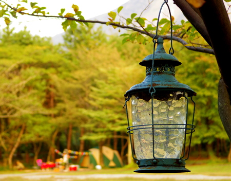 Lamps and naturalの写真素材
