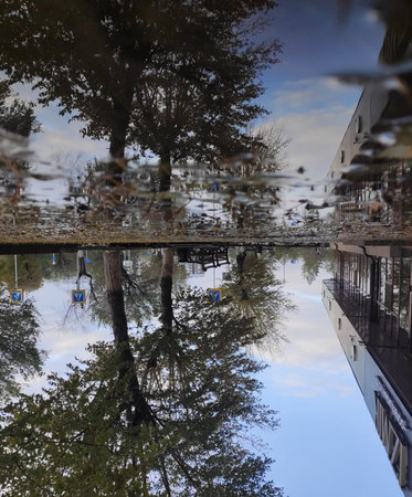 Reflection in the puddles