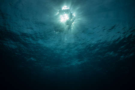 Sun with rays look from underwaterの写真素材