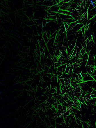 Grass background.