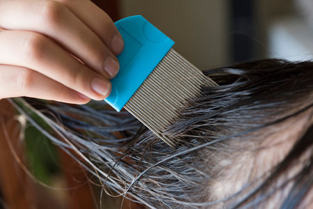 a girl is doing nits and head lice combing, closed up