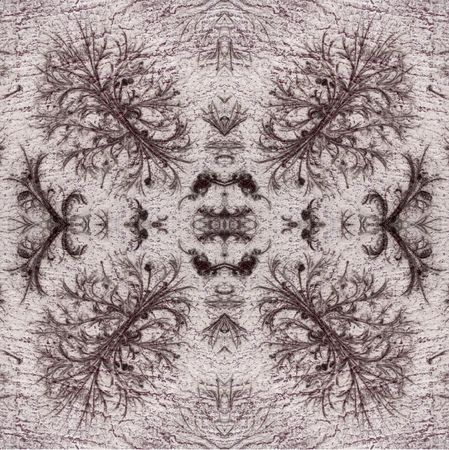 Ornament from frosty patternsの写真素材