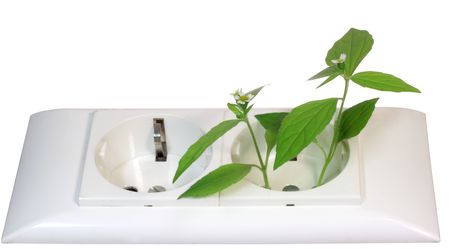 block of electricity sockets with green flowerの写真素材