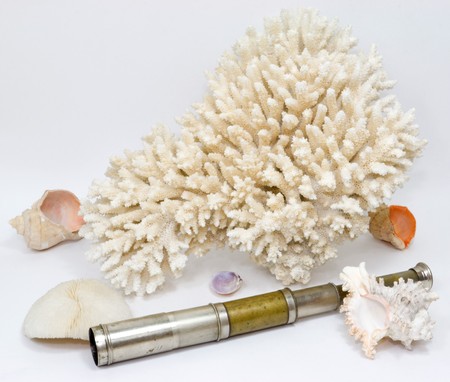 Tropic coral and pirate telescopeの写真素材