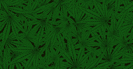 cannabis leaf pattern backgroundの写真素材