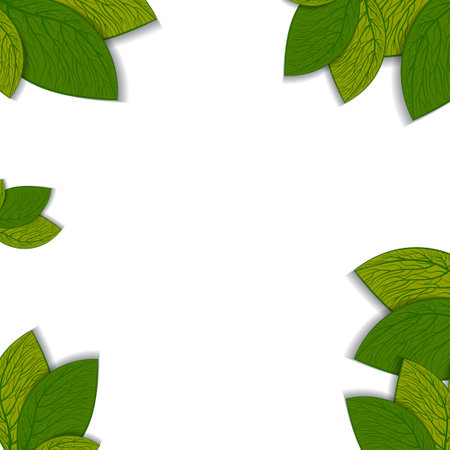 Green leaves on a white background. Vector illustration. Eps 10.のイラスト素材
