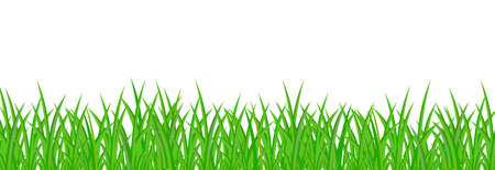 Green grass on a white background. Vector illustration for your design.のイラスト素材