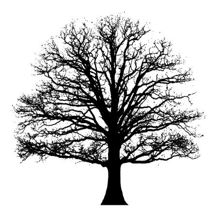 Tree silhouette isolated on white background. Vector illustration for your design.のイラスト素材