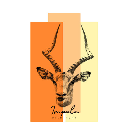 Hand drawn sketch of antelope. Vector illustration in retro style.のイラスト素材