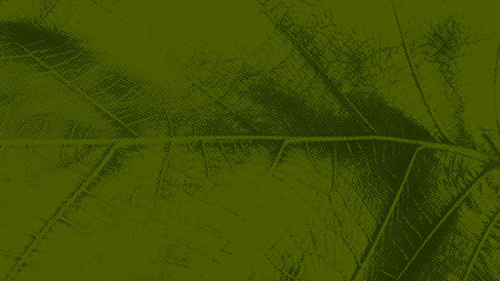 abstract green background leaf texture, vector illustration.