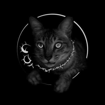 Cat with a hole in the head. Illustration on black background.のイラスト素材