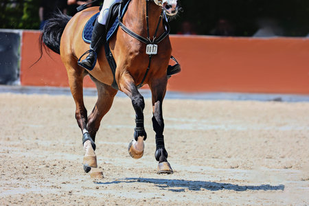 Gallop of a dark tail bay horse. Equestrian sports, Show jumping.の写真素材