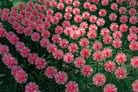 The group is a small solar garden lamp in the form of a flowers. Environmentally friendly concept. The use of sunlightの写真素材
