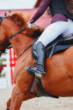 Ride to the obstacle. Show Jumping , influence of the rider on the horse. Whip in hand close-up. Vertical photoの写真素材
