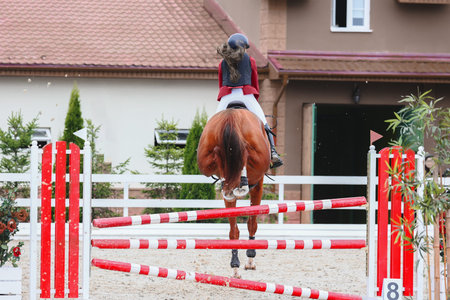 Rider jump to clear the red obstacle. Show Jumping. Chestnut horse on course. Rider from the back....