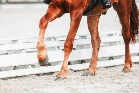 Horse hooves close-up when does the volt . Details of equestrian sportsの写真素材