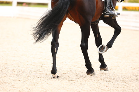 Horse hooves close-up when does the gallop . Details of equestrian sportsの写真素材