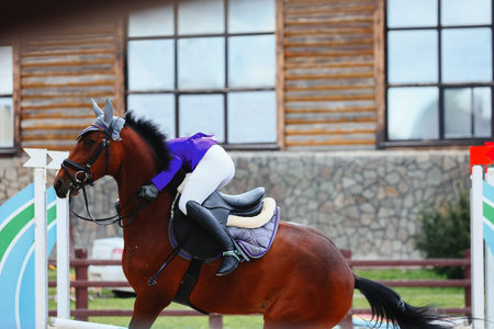 Falling from a horse to a speed and hardiness competition. Riders elimination on show jumping....