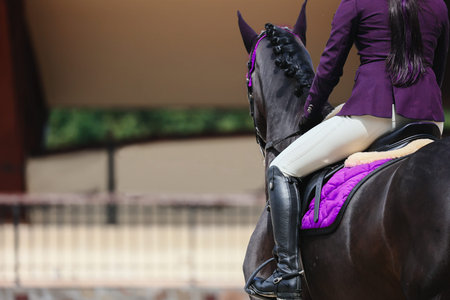 The riders leg is a close-up of a show jumping competition. Black horse in violet.