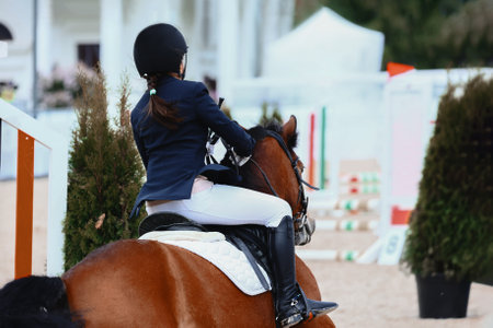Pony with a girl sportsman ride to the obstacle. A bay pony gallops over an obstacle. Pony sportsの写真素材