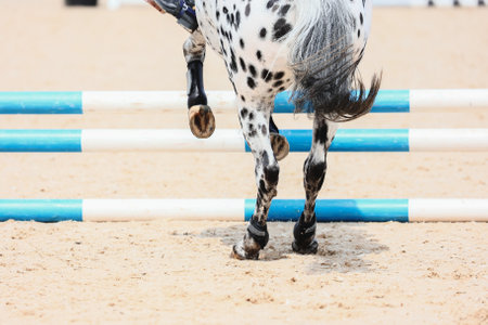 Horse Jumping, Equestrian Sports, Show Jumping themed photo. Macro. Black and white. Pony sportの写真素材