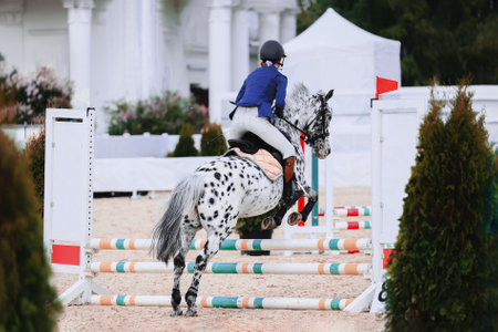 Spotted appaloosa pony jump to clear the obstacle. Pony Jumping, Equestrian Sports. Black and white.の写真素材