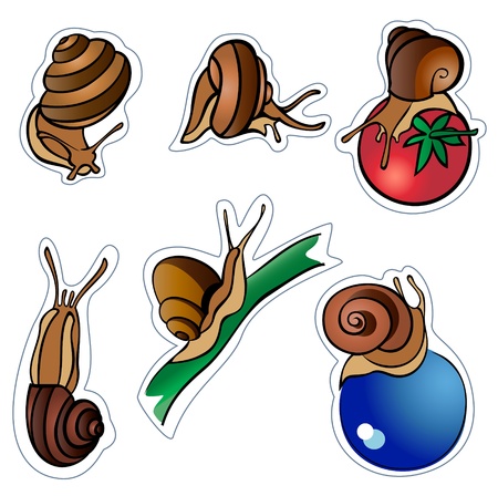 Set from six ñëèçíåé with shells in various poses, There are radial and linear gradients.のイラスト素材