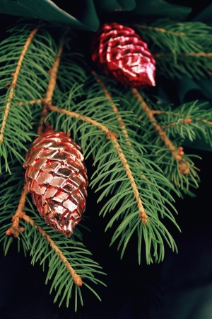 The branch of a fir-tree and two glass cones is on a black backgroundの写真素材