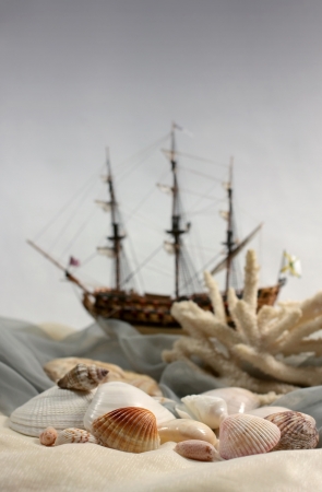 Beach and the sea from silk of a sink of 
mollusks a coral and a sailing vessel on 
the horizonの写真素材