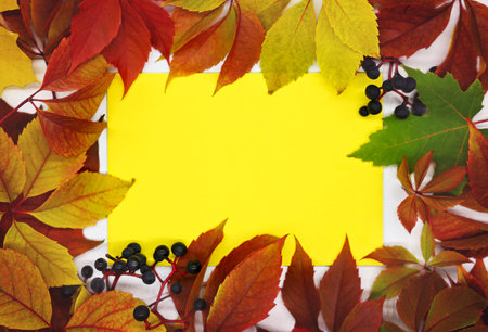 Autumn frame made of bright leaves and berries. Inside there is free space for text on a yellow...