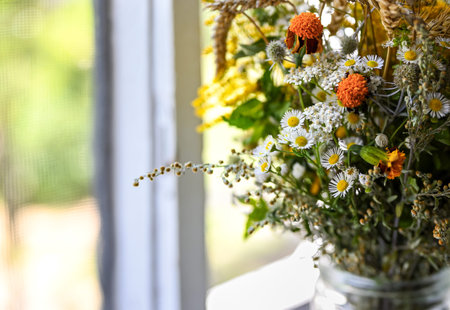 Floral background with copy space. Autumn or summer bouquet of wildflowers. Flowers on the windowsill, sunny day, blurred background. Shallow depth of field, soft focus.の写真素材