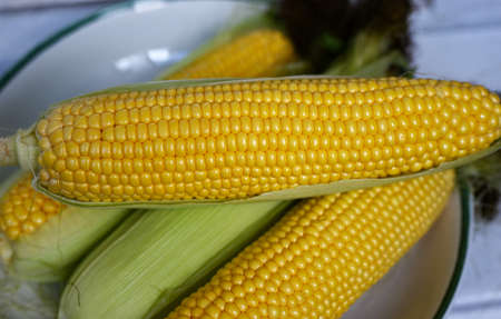 Raw fresh corn cobs on a plate. Peeled and unpeeled corn.の写真素材