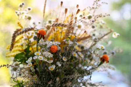 Floral background. Beautiful, bright bouquet of wildflowers and dry herbs on a dark purple background. Side light, shallow depth of field, soft focus.の写真素材