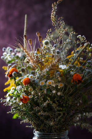 Floral background. Beautiful, bright bouquet of wildflowers and dry herbs on a dark purple background. Side light, shallow depth of field, soft focus.の写真素材