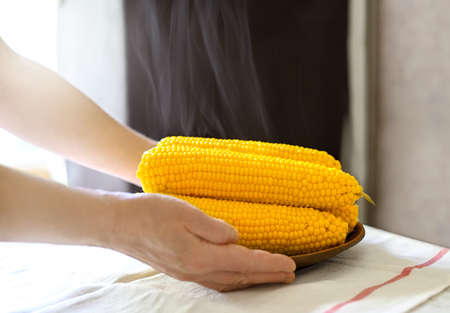 Female hands put the plate on the table. Four freshly brewed sweet corn on a plate. Steam comes from yellow hot corn.の写真素材