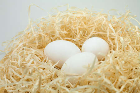 Three white eggs in wood shavings. Nest with eggs.の写真素材