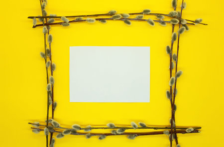 Spring background. Frame made of pussy willow branches on a yellow background. Free space for text....