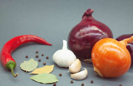 Red hot peppers, onions, garlic, bay leaves and peppercorns on a gray background. Close-up.の写真素材