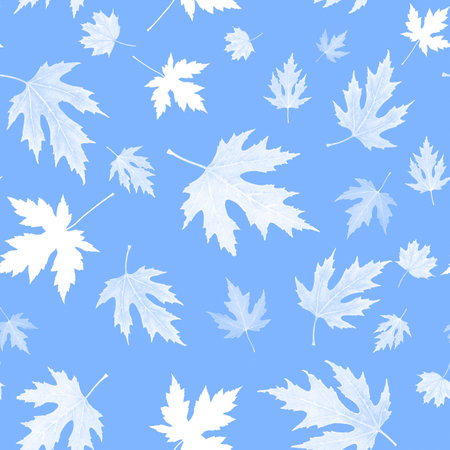 White autumn leaves on a blue background.の写真素材
