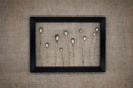 background from natural materials. Wooden frame on a background of burlap. Inside the frame are boxes of dry poppy pods. The effect of a three-dimensional picture.の写真素材