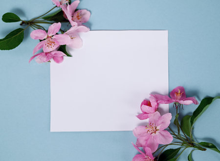 Blank card with pink apple tree flowers on a blue background. Flat lay, top view, copy space, minimalism.の写真素材