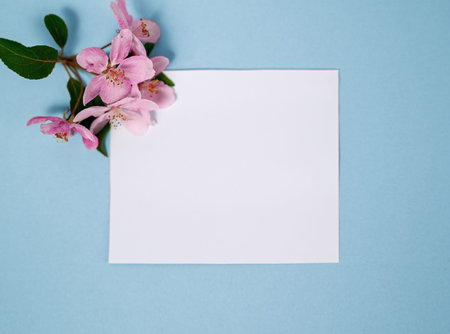 Blank card with pink apple tree flowers on a blue background. Flat lay, top view, copy space,...